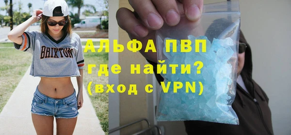 прущие грибы Галич