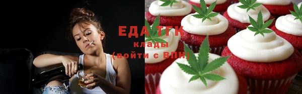 PSILOCYBIN Гатчина