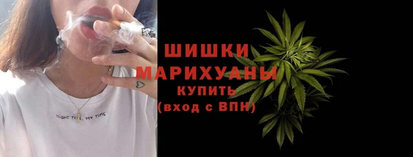PSILOCYBIN Гатчина