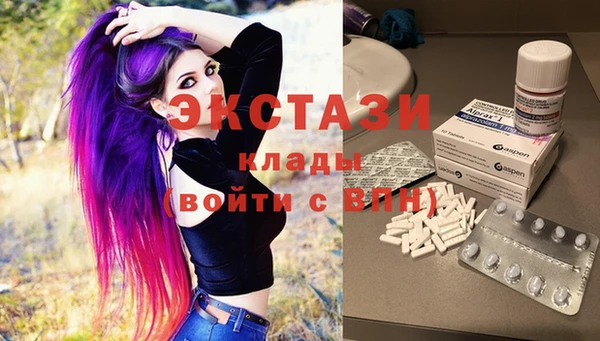 PSILOCYBIN Гатчина