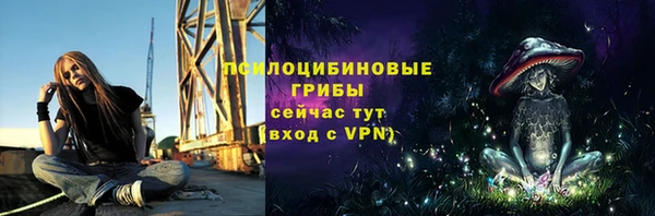 крисы Куйбышев