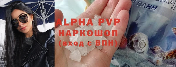 прущие грибы Галич