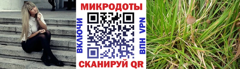 Псилоцибиновые грибы прущие грибы  блэк спрут ссылка  Курчатов  наркота 