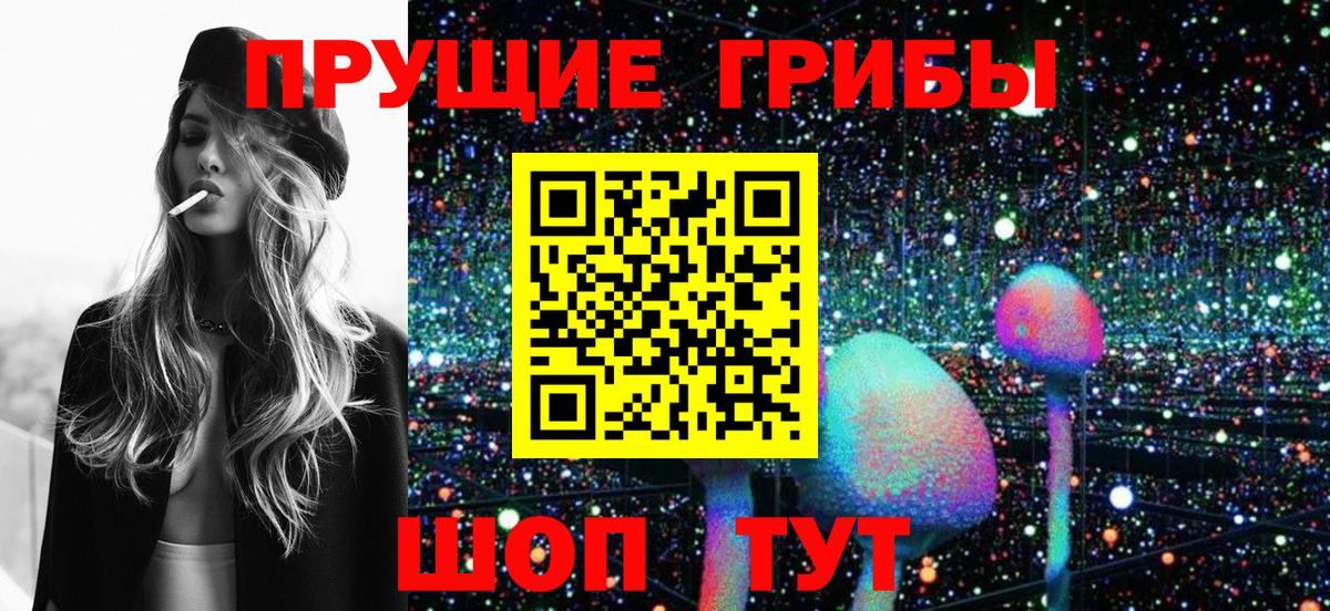 Курчатов  Псилоцибиновые грибы мухоморы  Вход с VPN 