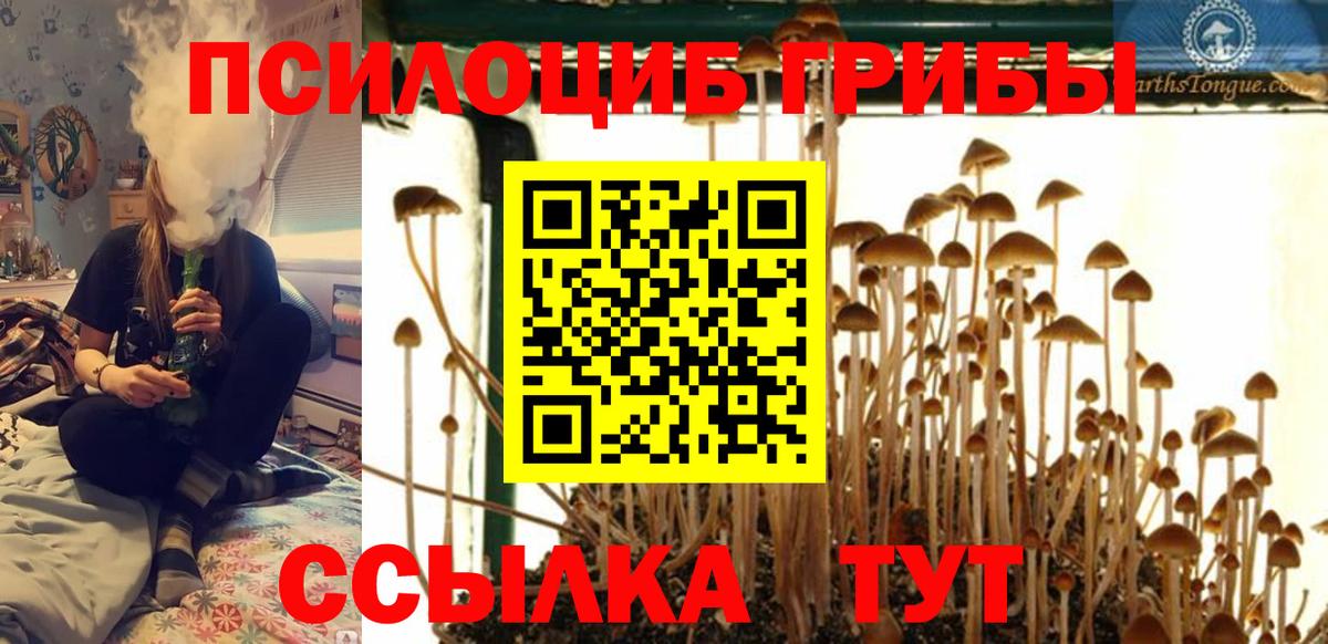 Псилоцибиновые грибы Magic Shrooms Курчатов